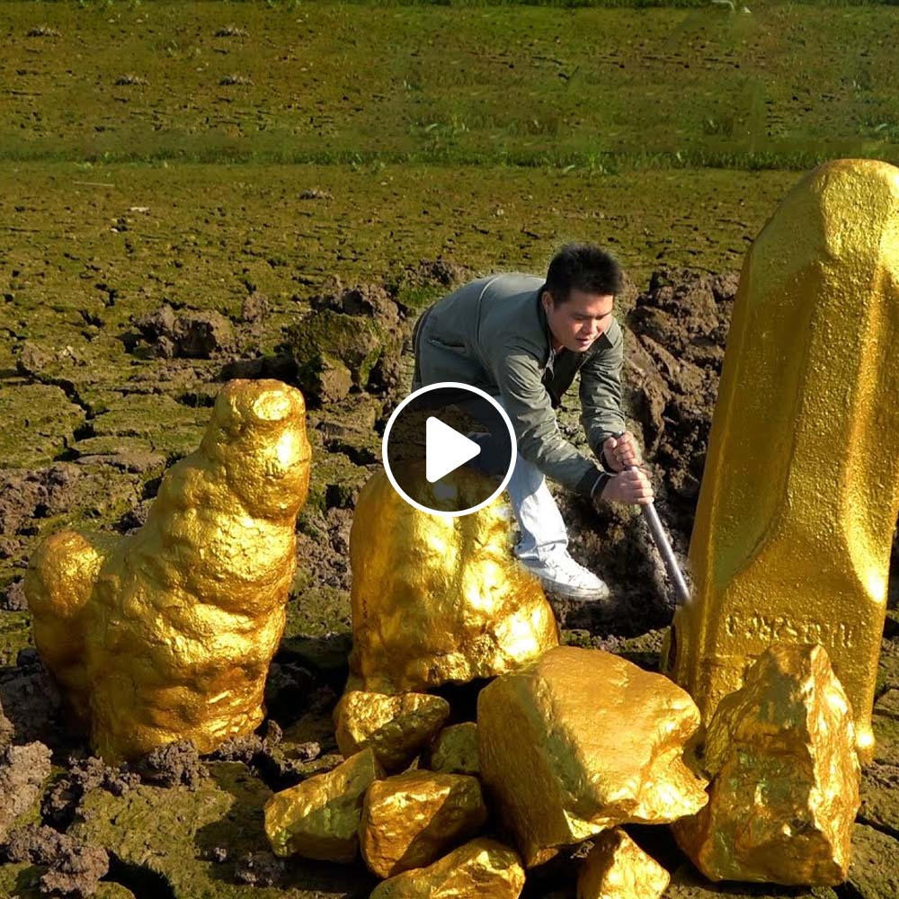 Impresionante descubrimiento: un joven descubre un tesoro dorado en un estanque de peces secos (video)